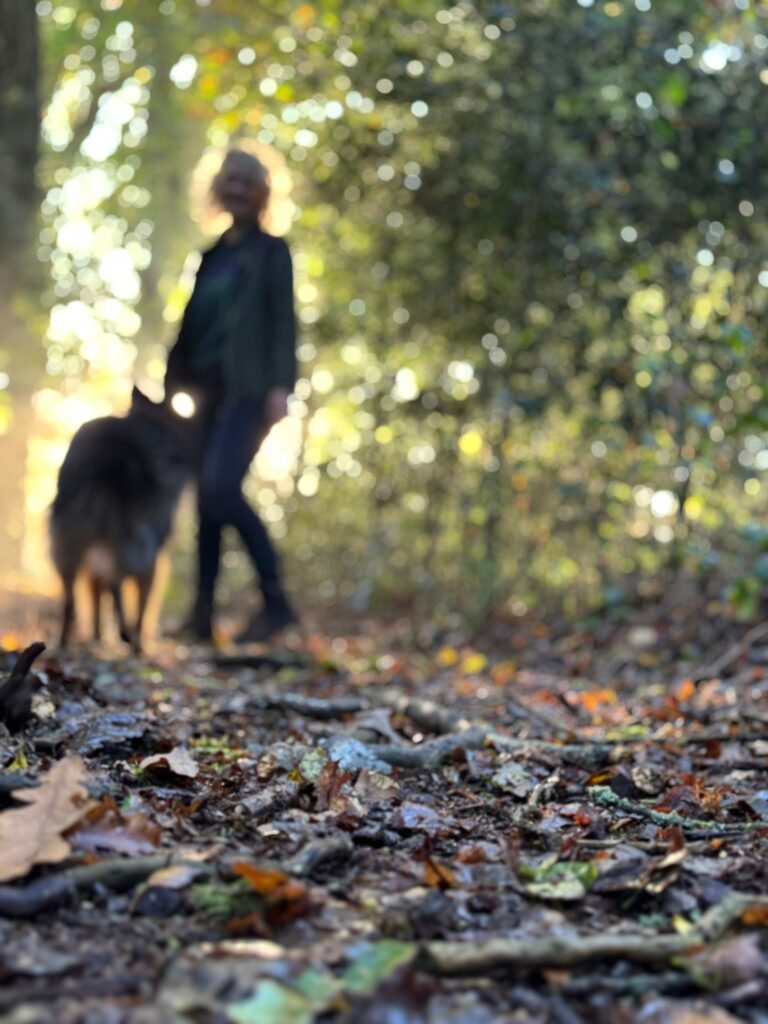 Een vrouw met een hond wandelt op een pad bedekt met bladeren, omringd door bomen in een rustige omgeving.